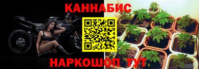 мдма Гусев