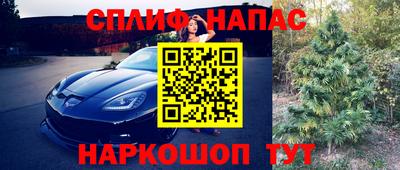 сатива Гусиноозёрск