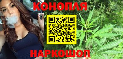 сатива Гусиноозёрск