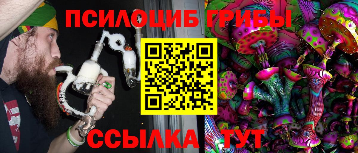 Михайловск  Псилоцибиновые грибы мицелий  Вход с VPN 