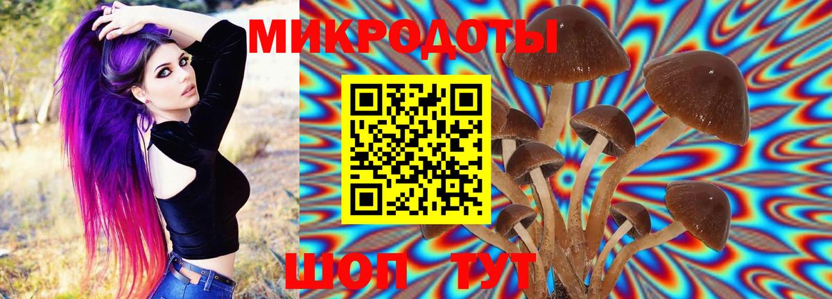 Псилоцибиновые грибы прущие грибы Михайловск